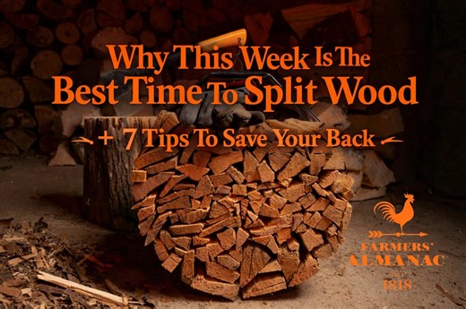 Why This Week Is The Best Time To Split Wood   7 Tips To Save Your Back