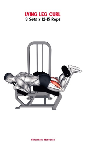 Push Pull Legs Workout| Leg Day Workout DAY-3 #legday