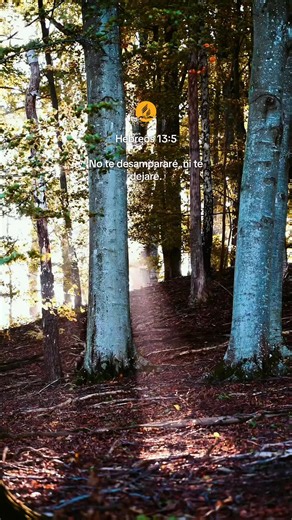 Finding Comfort in Hebrews 13:5