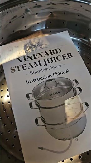 steam juicer