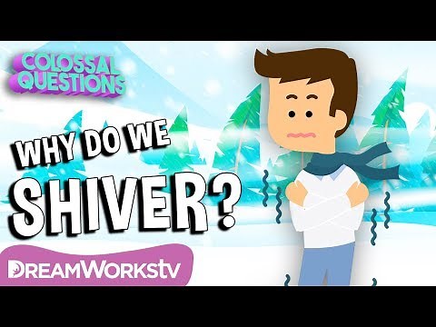 Why Do We Shiver When it’s Cold? | COLOSSAL QUESTIONS