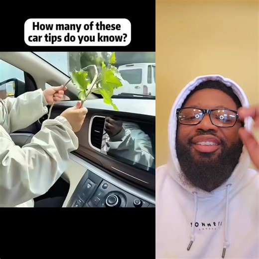 Car tips Part 1 | Greeny Greene