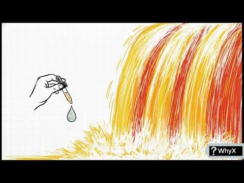 Dyson Sphere: The Day Humans Control a Star