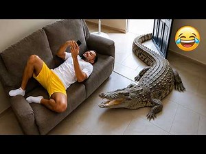 TRY NOT TO LAUGH 😂 Top 150 Funniest Videos Ever | Memes Epic Fails & Pranks Compilation 2026 EP 01