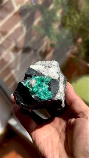 Why Geologists Never Ignore These Black Rocks