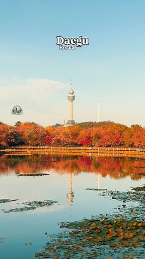 Daegu Tower 🇰🇷❤️ . . #daegu #daegutower #fyp #eworld #Daegukorea #daegu83tower #fblifestyle #이월드 #대구 #Visitdaegu #불꽃쇼 #불꽃쇼이벤 | SOLOTravel