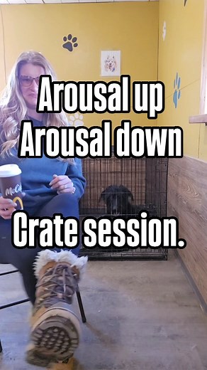 Icorporating the "arousal up, arousal down" game with crate training for an anxious dog is a fantastic way to help the dog learn to manage their emotions and feel more comfortable in their crate. 1. Understanding the Game: The "arousal up, arousal down" game is designed to teach dogs to shift between moments of excitement and calmness. This is particularly helpful for anxious dogs, as it builds their ability to self-regulate and return to a relaxed state after stimulation. 2. Application with Cr