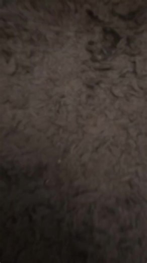 Hello Lovely Lady - An Epic Singing Monsters Adventure