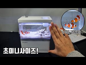 A super mini sump system fish tank that can be installed on a desk, small but has everything you ...