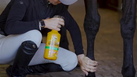 Practical Horseman on Instagram: "🐴"After a workout, I love using Absorbine® Veterinary Liniment Gel on my horses' legs for its cooling and recovery effects. This is also a good opportunity to pay attention to any areas that seem hotter than others and feel your horse’s legs for any differences in tendons or ligaments to prevent potential injuries. This an important practice to follow and will create a better bond with your horse that will carry over to the show ring.”🐴⁣ ~ Five-star eventer La
