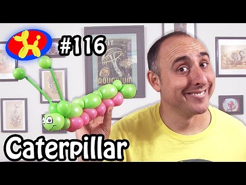 Caterpillar - Balloon Animal Lessons #116