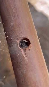 mejor manera de arreglar la azada #tips