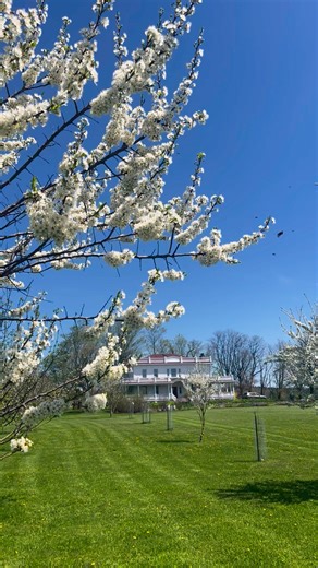 Good morning from every living thing at Beekman 1802 Farm in Sharon Springs, NY | Beekman 1802 Boys