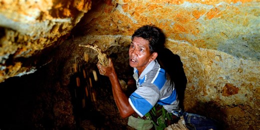 Why hunting for 20-million-year-old petrified wood is so dangerous