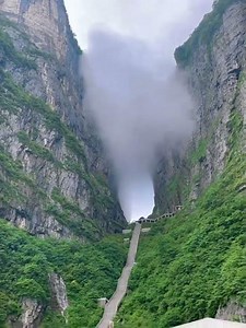 一秒沦陷張家界｜人間仙境天花板！ #旅行 #景區 #张家界