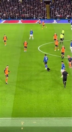 CAT FOLLOWS THE BALL THE ENTIRE PLAY 😂🐱⚽ #shorts #football #funny #animals