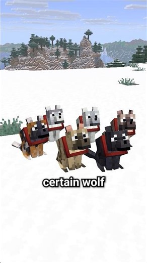 How to spawn ANY Wolf Variant in Minecraft #minecraft #shorts