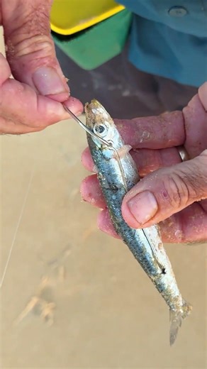Fish with sharp teeth? USE THIS RIG