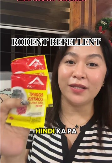 Effective Rodent Control Solutions for Your Home