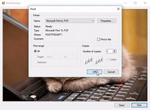 How to Print a Picture Box in C#