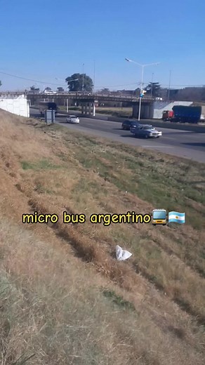 #colectivosenargentina🇦🇷 #omnibus #transportepublico