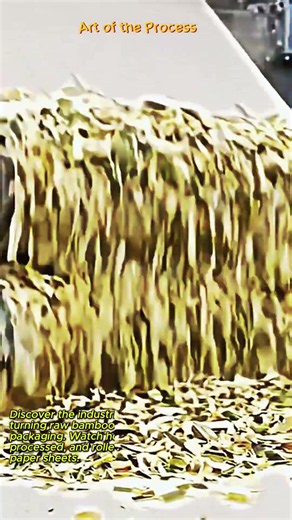 Industrial Bamboo Paper Manufacturing Process #worker #process #bamboo #eco #factory
