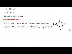 Vectors (3) ( grade 10)