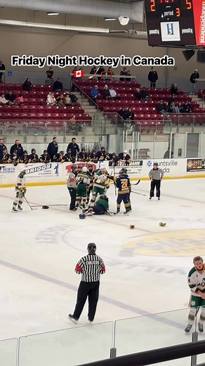 Players fighting.. coaches.. people in the stands.. wild friday hockey night in little old Huntsville, ON 🇨🇦 | Robin Elizabeth