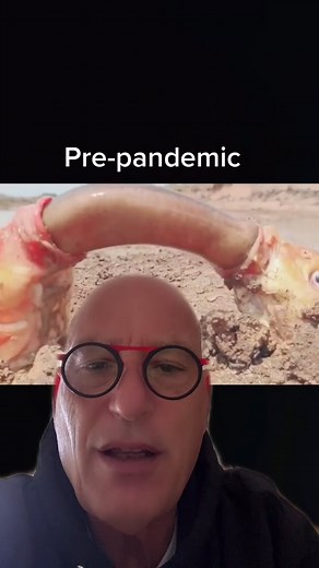 Howie Mandel TikTok Videos Compilation 2020