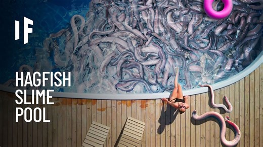 What If You Fell Into a Pool of Hagfish?