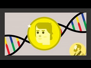 The discovery of DNA was thanks to a woman!