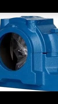 MANCAL BIPARTIDO SNHL 1