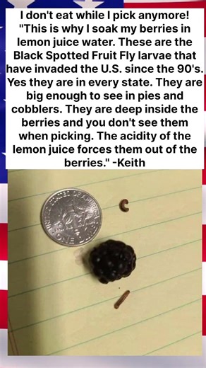 "Berry Cleaning Hack! 🍋🍓"
