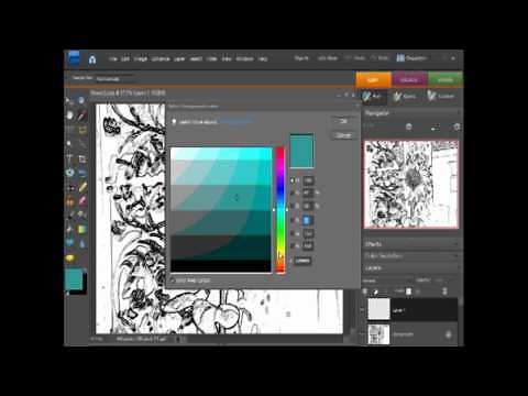 Photoshop Elements - Photo to Coloring Book Page