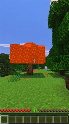 Gaboleh Sentuh Api Di Minecraft Tapi, Kebakaran Hutan #shorts