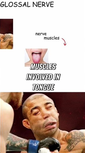 Hypoglossal Nerve: Unlock Painful Jaw Pressure Advantage #shorts