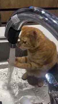 He Outsmarted Everyone 😂