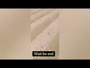 XXL XXL XXL XXL FREESTYLE 2024 |XXL 2025 | Xxwd5000xa | XXL XXL XXL XXL FREESTYLES