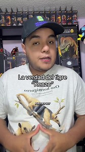 Qué pasó con el tigre Kenzo: la verdad sobre Kenzo el tigre