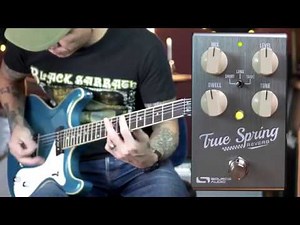 Drippy Goodness! - Source Audio TRUE SPRING Reverb (plus Tremolo)