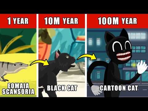 Cartoon Cat Origin Evolution: How Cartoon Cat Could Have Evolved