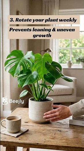 Simple Plant Care Tips Every Beginner Must Know 🌱 #plants