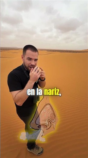 The nose is key in the desert. Full video on YT #science #curiosities