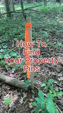 How to Walk Your Property Lines Like a Professional Surveyor