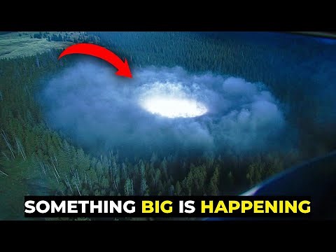 What's Going in Our National Forests!? | 10 Unexplained Cases