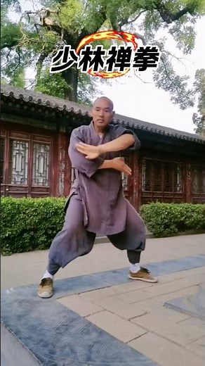 Shaolin Chan Quan 少林禪拳 #shaolinkungfu #shaolin #martialarts #traditionalchinesekungfu #少林禪拳 #chan