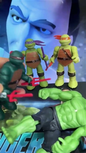Teenage Mutant Ninja Turtles, TMNT Donatello, Leonardo, Raphael, Michelangelo, Action Figure Collect