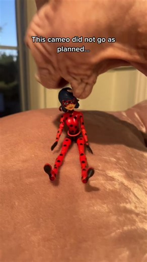Miraculous Ladybug - Birthday Cameo Gone Wrong