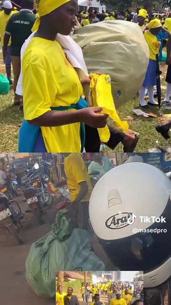 Understanding Protest Votes in Elections