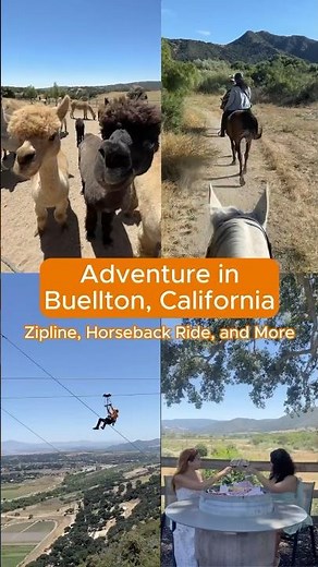 Hidden Gem in the Santa Ynez Valley | Buellton, California (via lewildexplorer on IG) #shorts